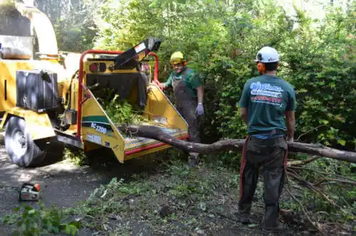 tree services Prince's Lakes